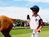 St. Regis Cowdray Gold Cup 2026 – Jindal Steel La Dolfina vs Kazak – Highlights