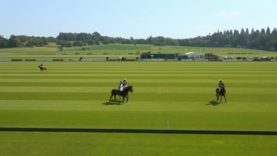 St. Regis Cowdray Gold Cup 2026 – Sujan Indian Tigers vs UAE Polo