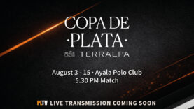 TIP PLATA 5.30