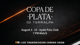 TIP PLATA 7