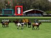 Coupe de trone 2026 – Ajdir vs Marrakech