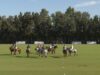 Memorial Manuel Prado y Colon De Caravajal 2026 – Heritage Barefield Vs MF Polo