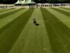 St. Regis Cowdray Gold Cup 2026 – Akasha vs La Hechicera – Highlights