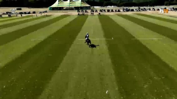 St. Regis Cowdray Gold Cup 2026 – Akasha vs La Hechicera – Highlights