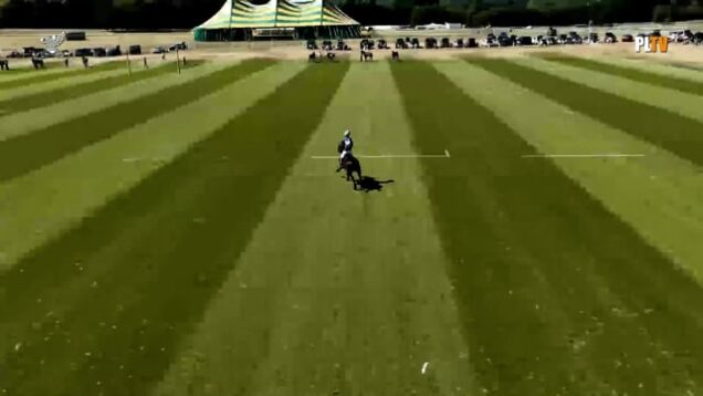 St. Regis Cowdray Gold Cup 2026 – Akasha vs La Hechicera – Highlights