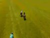 St. Regis Cowdray Gold Cup 2026 – Dubai vs Shoreline – Highlights