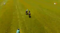 St. Regis Cowdray Gold Cup 2026 – Dubai vs Shoreline – Highlights