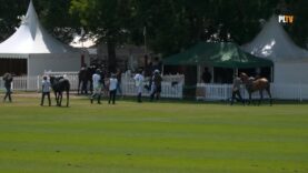 St. Regis Cowdray Gold Cup 2026 – Ojo Caliente vs Dubai – Highlights