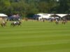 St. Regis Cowdray Gold Cup 2026 – Sujan Indian Tigers vs Ferne Park – Highlights