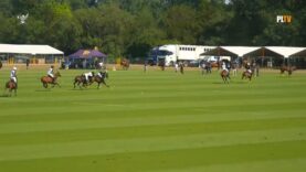St. Regis Cowdray Gold Cup 2026 – Sujan Indian Tigers vs Ferne Park – Highlights