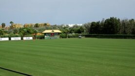 Copa de Oro 2026 Alto – Ayala vs Dos Lunas IQ