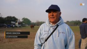 Clasificacion 2026 – Memo Gracida