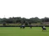Copa de Plata 2026 – 45 50 Polo vs RPA Indubitable