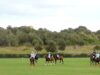 Copa de Plata 2026 – Uno Maass vs 45 50 Polo