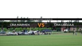 Copa La Hache 2026 – Cria Marmen vs Cria Libélula
